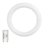 Noxion LED Tube T9 Avant Circular (EM/Direct) 20W 2200lm - 840 Cool White | 30cm - Replaces 32W
