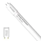 Noxion LED Tube T8 Avant (EM/Mains) Standard Output 9W 900lm - 840 Cool White | 60cm - Replaces 18W